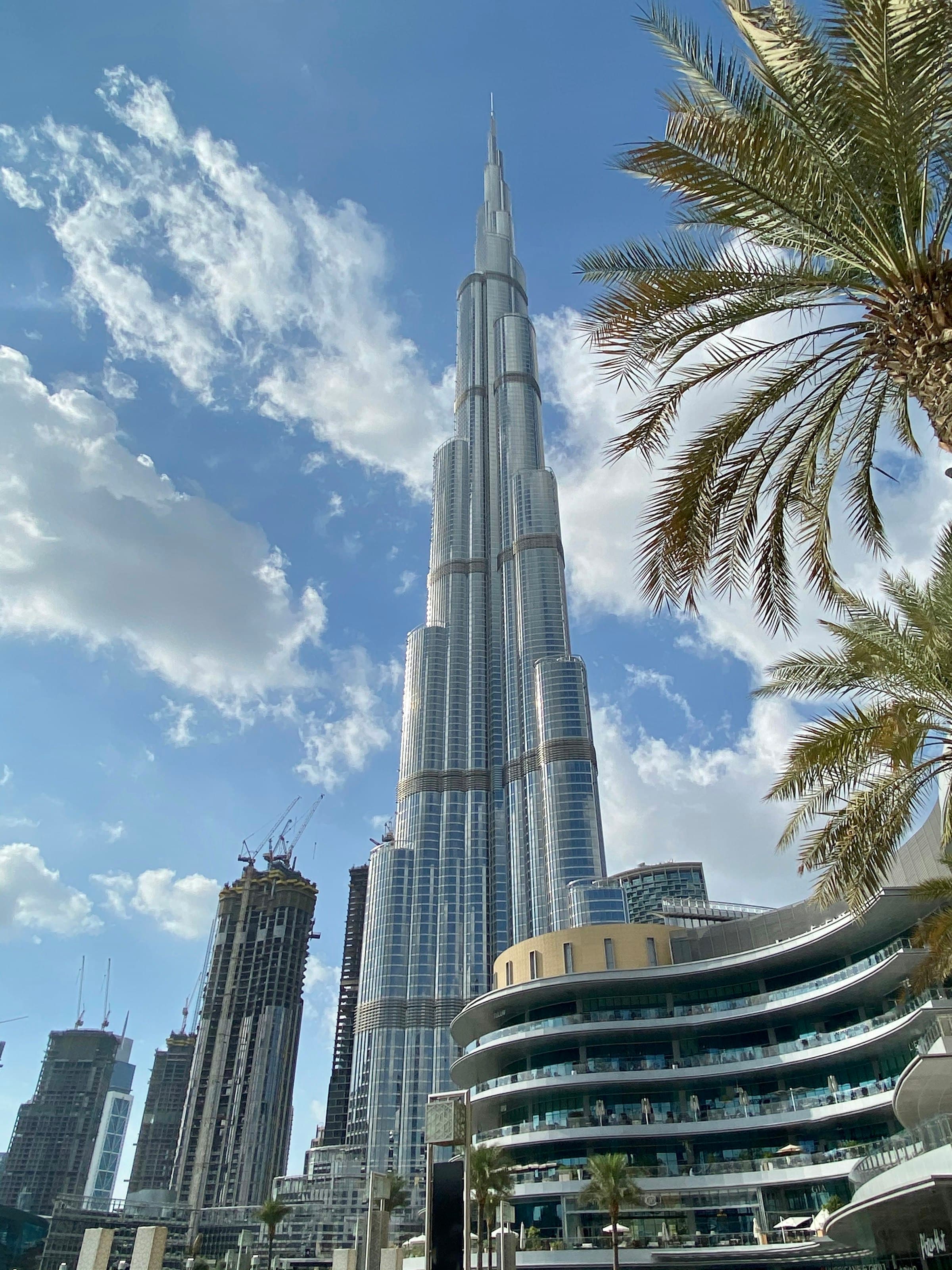 Burj Khalifa rising above palm trees on a clear day in Dubai